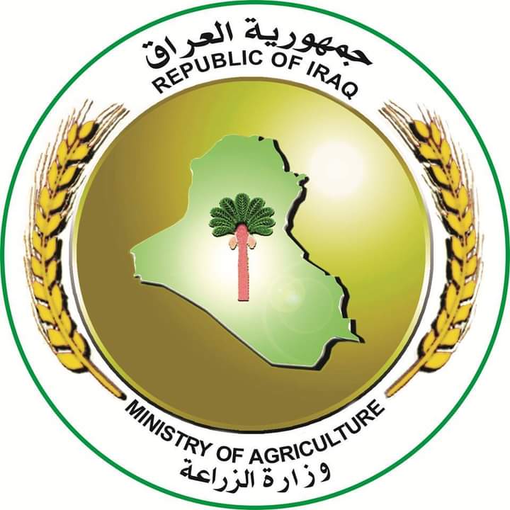 وزارة الزراعة تمنع أستيراد محصولي الرقي والبطيخ لوفرتهما محليا