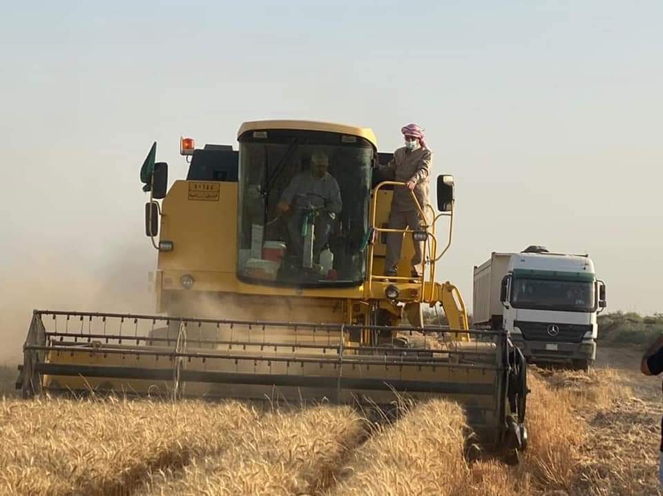 وزير الزراعة يتفقد عددا من الحقول الزراعية ومعامل تنقية بذور الرتب العليا لمحصول الحنطة في محافظة واسط