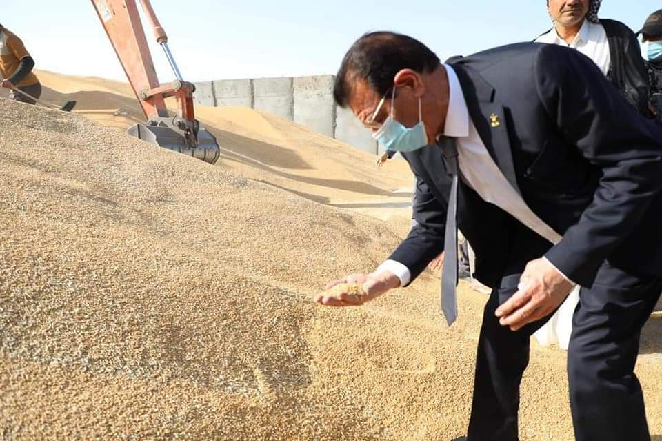 وزير الزراعة يزور محافظة الديوانية ويطلع ميدانيا على اليات استلام محصول الحنطة في المحافظة
