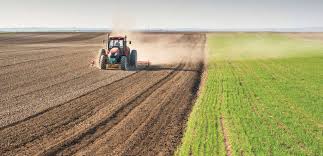 الزراعة تعلن عن خططها للمحاصيل الصيفية