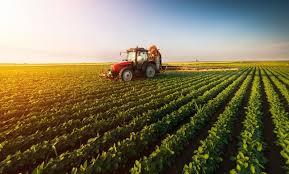 الزراعة: منع الاستيراد سمح باستئناف اكثر من 6000 مشروع