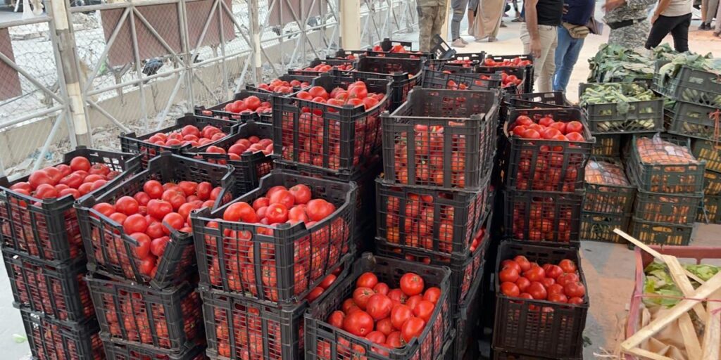 ضبط شحنة من الطماطم الممنوعة من الأستيراد في منفذ زرباطية