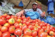وزير الزراعة يوجه بمنع أستيراد محصول الطماطم لوفرتها محليا