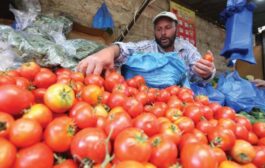 وزير الزراعة يوجه بمنع أستيراد محصول الطماطم لوفرتها محليا