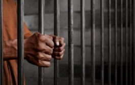 النجف.. السجن 15 عامًا لـ”ناقل” للمخدرات بين محافظتين