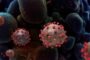 فايزر تتوقع استمرار وباء كورونا حتى 2024