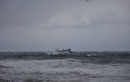 غرق سفينة إماراتية قبالة سواحل مدينة عسلوية الإيرانية 