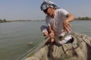 محافظة عراقية تعلن انتهاء فترة منع صيد الأسماك 