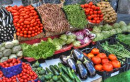 وزارة الزراعة تسمح بأستيراد محاصيل البطاطا والطماطم والخيار والباذنجان لانخفاض انتاجها محليا