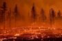 حرائق الغابات في كاليفورنيا تنتشر بسرعة وتدمر 10 منشآت 