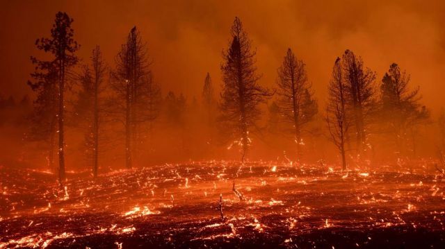 حرائق الغابات في كاليفورنيا تنتشر بسرعة وتدمر 10 منشآت 