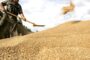 هذا هو موعد تسليم مستحقات مسوقي الحنطة في محافظة الأنبار