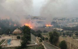 تحقيق الموصل تصدق اعترافات متهمين اثنين بحرائق الغابات 