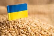 أوكرانيا تربط استئناف تصدير الحبوب بهذه الشروط 