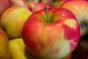 ماذا يعني للصحة تناول التفاح كل يوم؟ 
