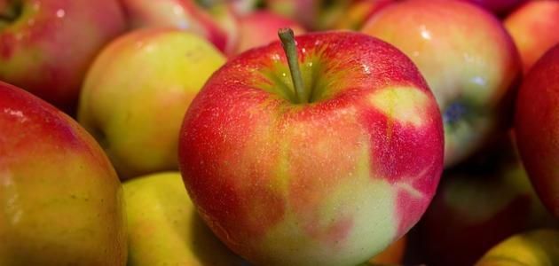 ماذا يعني للصحة تناول التفاح كل يوم؟ 