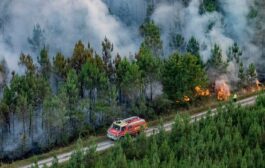 استمرار تصاعد حرائق الغابات في فرنسا 