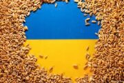 منذ توقيع الاتفاق.. أوكرانيا تصدر هذه الكمية من الحبوب