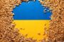 منذ توقيع الاتفاق.. أوكرانيا تصدر هذه الكمية من الحبوب
