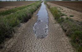 الموارد تشكو عدم استجابة دول الجوار لمخاطباتها بشأن أزمة المياه في العراق 