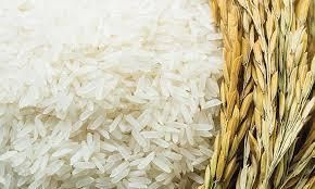 التجارة: وصول 44 ألف طن من مادة الرز الأمريكي لحساب السلة الغذائية