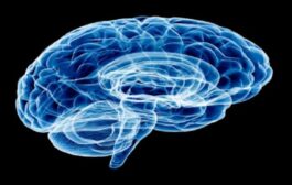علماء الشيخوخة يكشفون عادات سيئة تدمر الدماغ