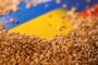 أسعار القمح تتراجع بنحو 6% بعد استئناف اتفاق تصدير الحبوب الأوكرانية