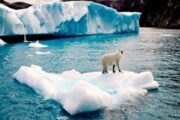 خلال الأعوام العشرة المقبلة.. القطب الشمالي سيفقد ستاره الجليدي