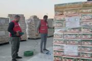 الهلال الأحمر: تجهيز ٢٥ طنا من المواد الغذائية والاغاثية لأرسالها الى غزة